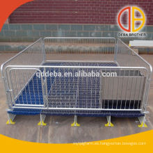 Pen Fencing Dog Kennel Micro Pig